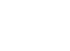 The Fibro Consultant Wings Logo White